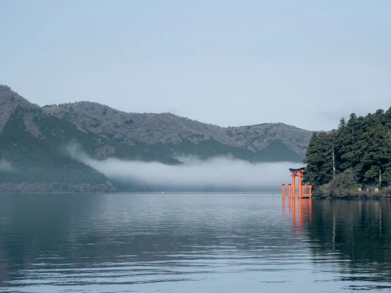 Torii Gates and TikTok: Why Gen Z Is Finding Spirituality Through Japanese Mythology